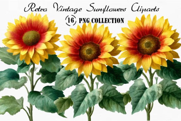 Retro Vintage Sunflowers Clipart